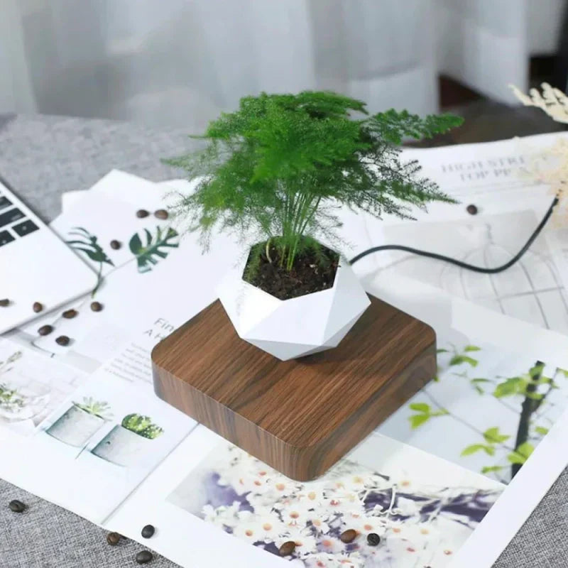 https://cdn.shopify.com/s/files/1/0965/8109/1655/files/0bbb8e08-74f9-4056-89eb-837c7dc7b0fa_4b037608-8c2a-4e18-b1cc-26df5017a13d.webp?v=1772119781